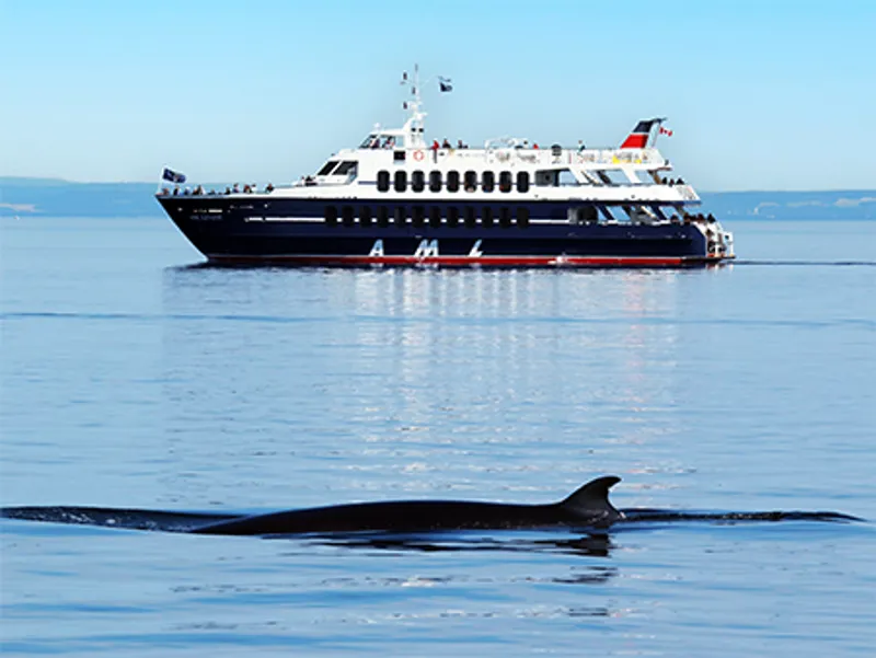 Le AML Levant naviguant sur le fleuve Saint-Laurent