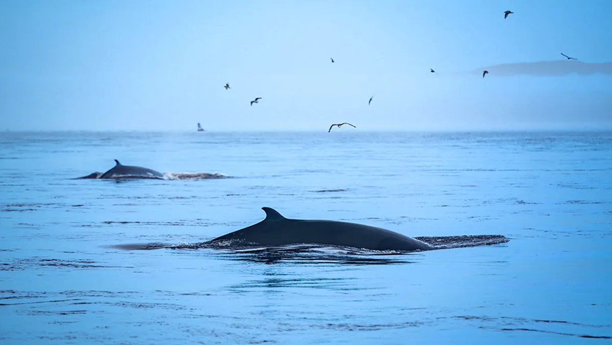 Famille souriante à table lors du brunch-croisière du dimanche