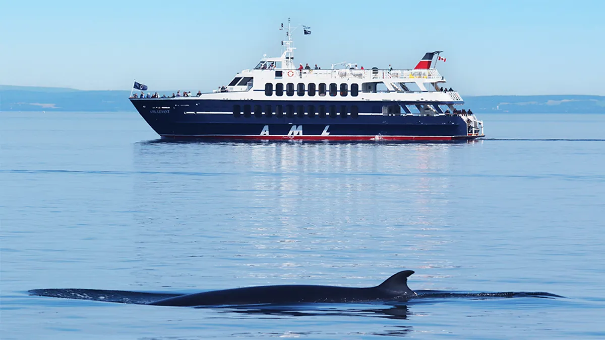 DJ AML aux platines avec vue sur le Vieux-Port de Montréal de nuit