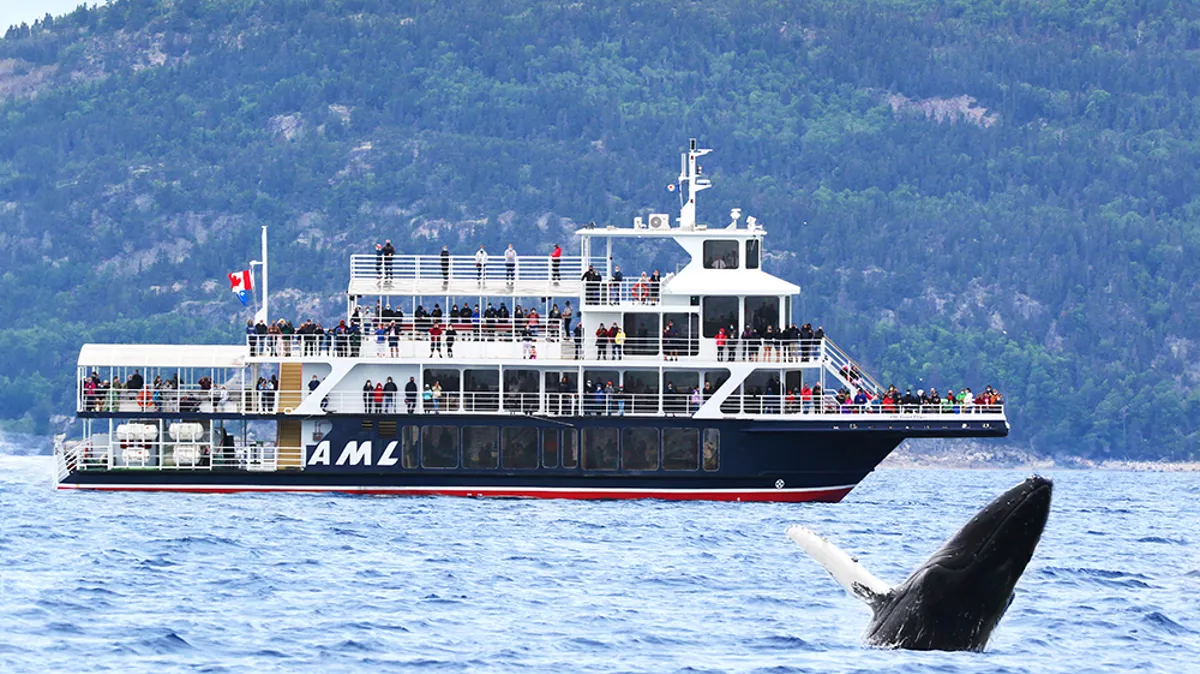 Groupe d'amis trinquant sur le pont extérieur avec skyline de Montréal