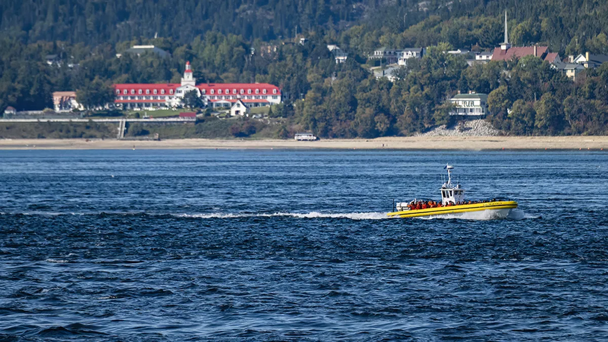 Phoque gris se reposant sur un rocher le long du fleuve Saint-Laurent